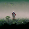 Lonely Voyager 075