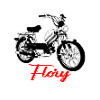 Kreidler Flory Mofa Culte