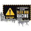Sled dogs and sledding