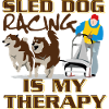 Sled dogs and sledging therapy