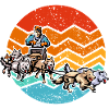 Sled dogs and sledding