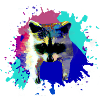 waschbär,bär,graffiti,malerei,blau,farbklecks
