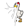 Chicken eats fabric