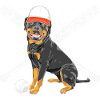 Rottweiler Dog Baseball