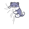 Cat eats fabric