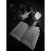Booklover