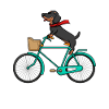 Fröhlicher Dackel fährt Fahrrad - Dackel