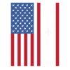 Patriotic Airplane American Pilot Airplane