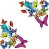 Several butterflies