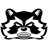 Raccoon