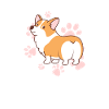 Corgi