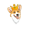 Corgi