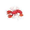 Crawfish Crawfish Seafood Crab Gift