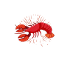 Crayfish