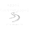 APPEL CONTRE-APPEL RALLYE