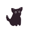 Cute Black Cat