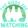 Birds Are Watching