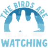 Les oiseaux observent