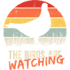 Birds Are Watching