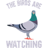 Birds Are Watching
