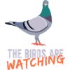 Birds Are Watching