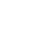 Meister
