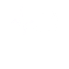 Snail Heartbeat