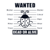 Bugs Wanted Softwareentwickler Developer