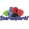 Beerenstark Himbeeren Blaubeeren Brombeeren