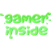GAMER INSIDE