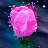 Tulipes Roses Fleurs Aquarelle Art