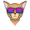 Cadeau de chat abyssinique bisexuel