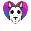 Bisexual Siberian Husky Dog Gift