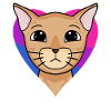 Cadeau de chat abyssinique bisexuel