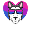 Bisexual Siberian Husky Dog Gift