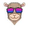 Bisexual Alpaca Gift