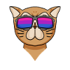Bisexuell Perserkatze Katze Geschenk