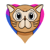Cadeau de chat persan bisexuel