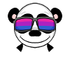 Bisexual Panda Gift