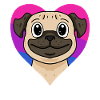 Bisexual Pug Dog Gift