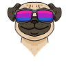 Bisexual Pug Dog Gift