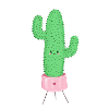 Süßer Kaktus