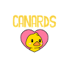 j'aime les Canards Ok ?