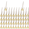 Birthday 50 Brooms
