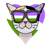Genderqueer Chat Lgbt Bobtail japonais
