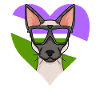 Genderqueer Lgbt Cat Siamese Cat