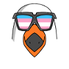 Transgender Transsexual Seagull Gift