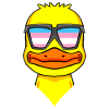 Transgender Transsexual Duck Gift