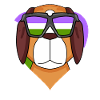 Genderqueer Lgbt Dog St. Bernard