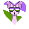 Genderqueer Lgbt Cat Sphynx